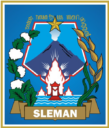Website Kalurahan Condongcatur